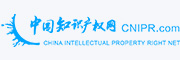 中国知识产权网